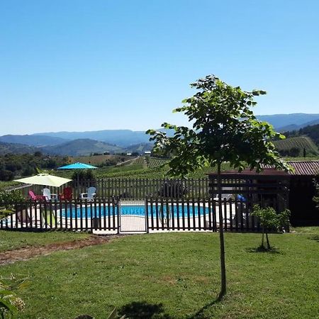 Gites "Entre Les Vignes" Tourreilles Exterior foto