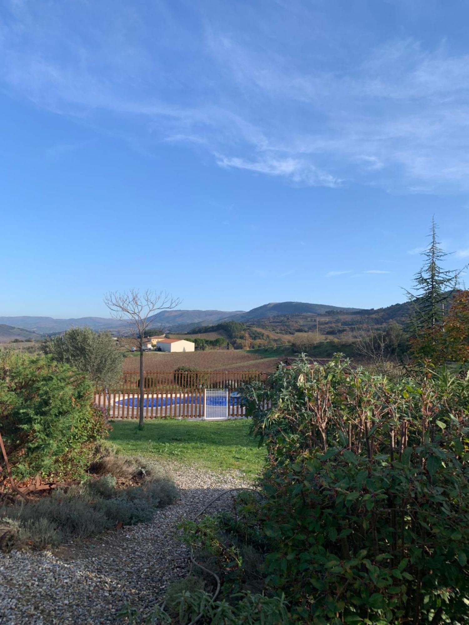 Gites "Entre Les Vignes" Tourreilles Exterior foto